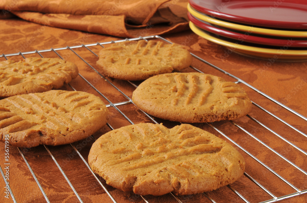 Poster Fresh baked peanut butter cookies