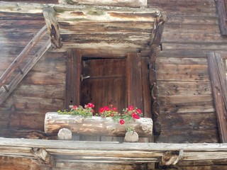 Flowerpot in front of ancient timber building in Zermatt