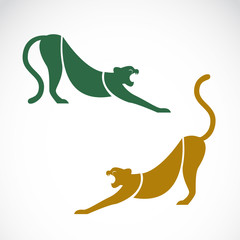 Vector image of an tiger