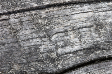 Fototapeta premium Wooden texture