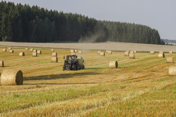 Harvesting of wheat straw