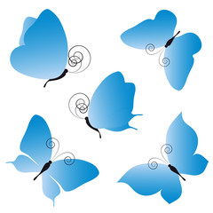Obraz premium butterflies design