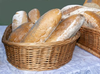 various loaf of breads