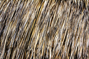 Close up grass roof background. Texture of grass roof