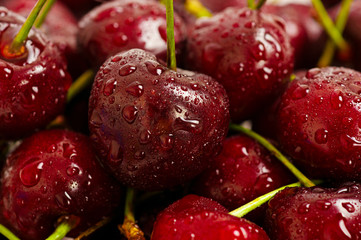 Sweet cherry background