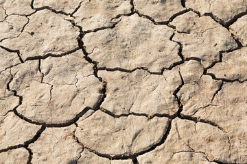 Cracked soil texture