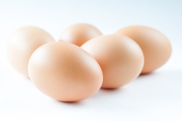 eggs