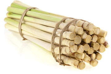 citronnelle, Cymbopogon citratus