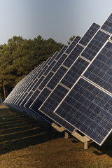 Centrale photovoltaïque en plein champs