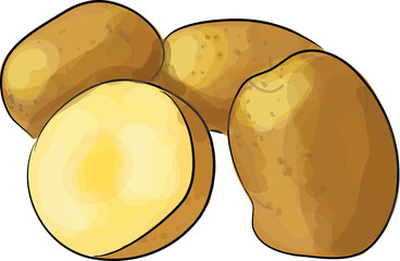 kartoffel kartoffeln