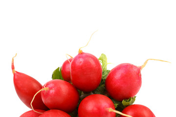 Small garden radish.