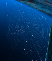 Fototapeta na wymiar Spider Web on a Pier