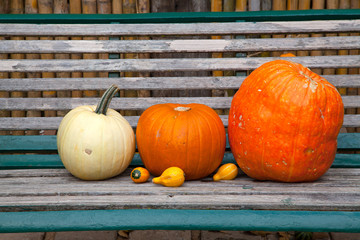 Pumpkins on a bench