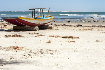 Obraz premium Jangada on the beach