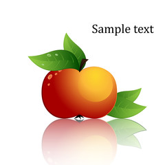 Apple Icon - Isolated On White Background