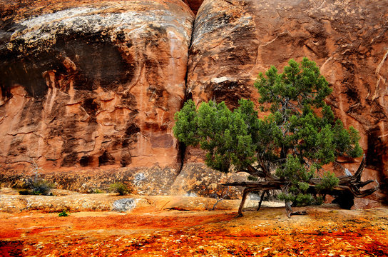 Landscape in Arches National Park