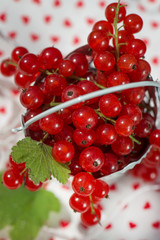 Rote Johannisbeeren