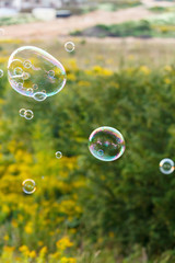 soap bubble outdoor
