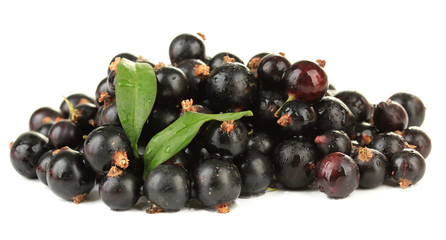 Black currant isolated on white