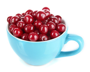 Sweet cherry in cup isolated on white