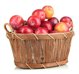 Ripe plums in basket isolated on white