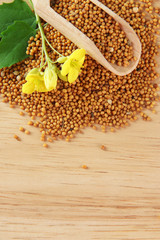 Mustard seeds with mustard flower on wooden background
