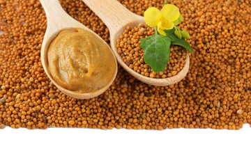 Mustard seeds with mustard flower isolated on white