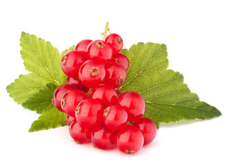 Red currants and green leaves still life