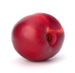 Nectarine fruit