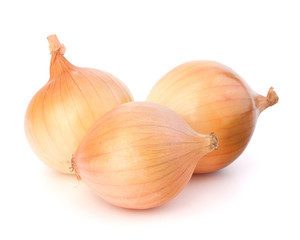 Onion