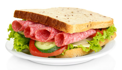 Tasty sandwich with salami sausage and vegetables