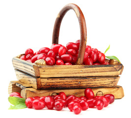 Fresh cornel berries in wooden basket, isolated on white