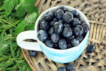 Blueberries in cup on wicker tray on grass