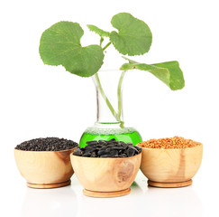 Conceptual photo of bio fuel.  Isolated on white