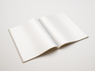 blank magazine