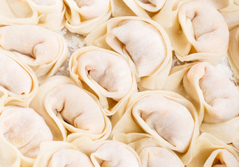 Homemade dumpling