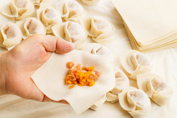 Making of Chinese dumpling