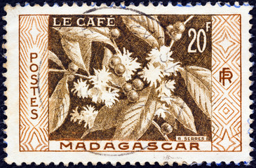 Coffee (Madagascar 1956)