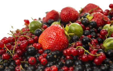 Obraz na płótnie Canvas Ripe berries