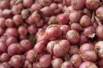 Group of red onion
