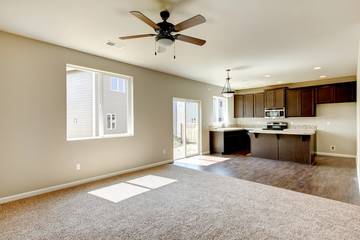 New home kitchen interior with dark brown cabinets.