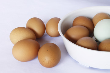 eggs in one basket
