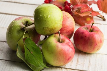 Fresh apples
