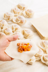 Making of the chinese dumpling