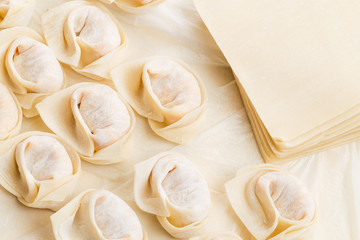 Homemade dumpling and raw material