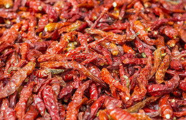 dried red chili  are many