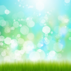 Fototapeta premium Summer image