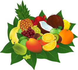 Ripe fruits. Vector.