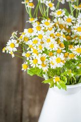 Bouquet of daisies. Pyrethrum