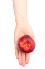 Hand of woman with fruit nectarine on white background